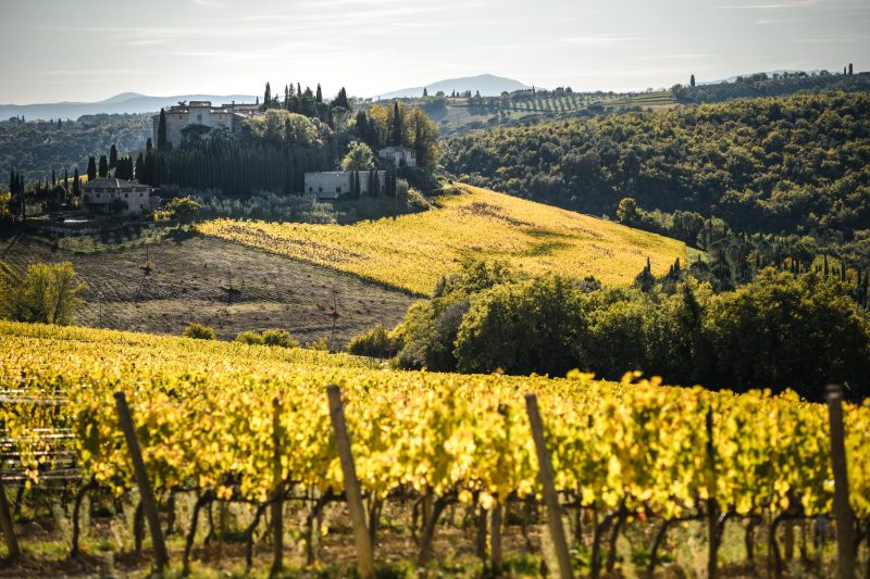 Autumn Wedding in Chianti Tuscany vineyard