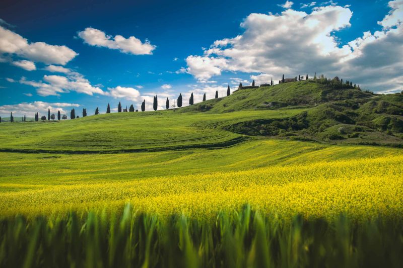 Tuscany wedding countryside spring light