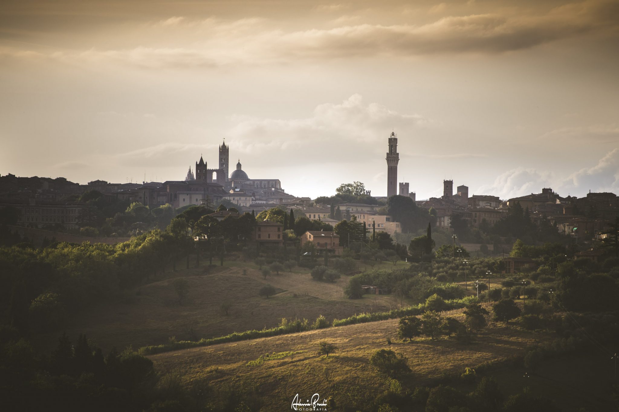 wedding in castel di pugna siena tuscany - Alessia Bruchi Fotografia, italian wedding photographer based in siena available for exclusive wedding engagement elopement in Tuscany and Italy wedding photos siena tuscany