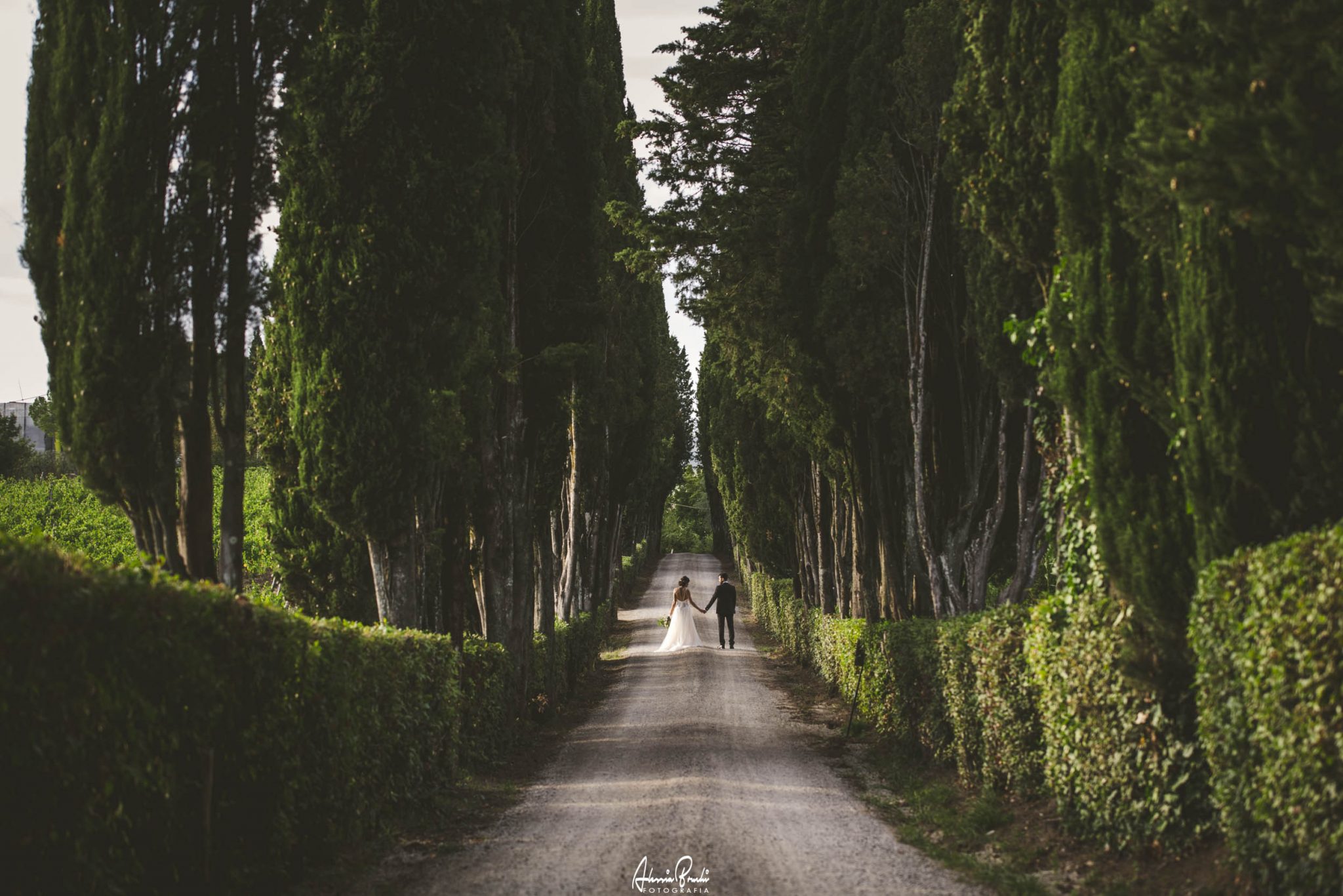 wedding in castel di pugna siena tuscany - Alessia Bruchi Fotografia, italian wedding photographer based in siena available for exclusive wedding engagement elopement in Tuscany and Italy итальянский свадебный фотограф из Тосканы