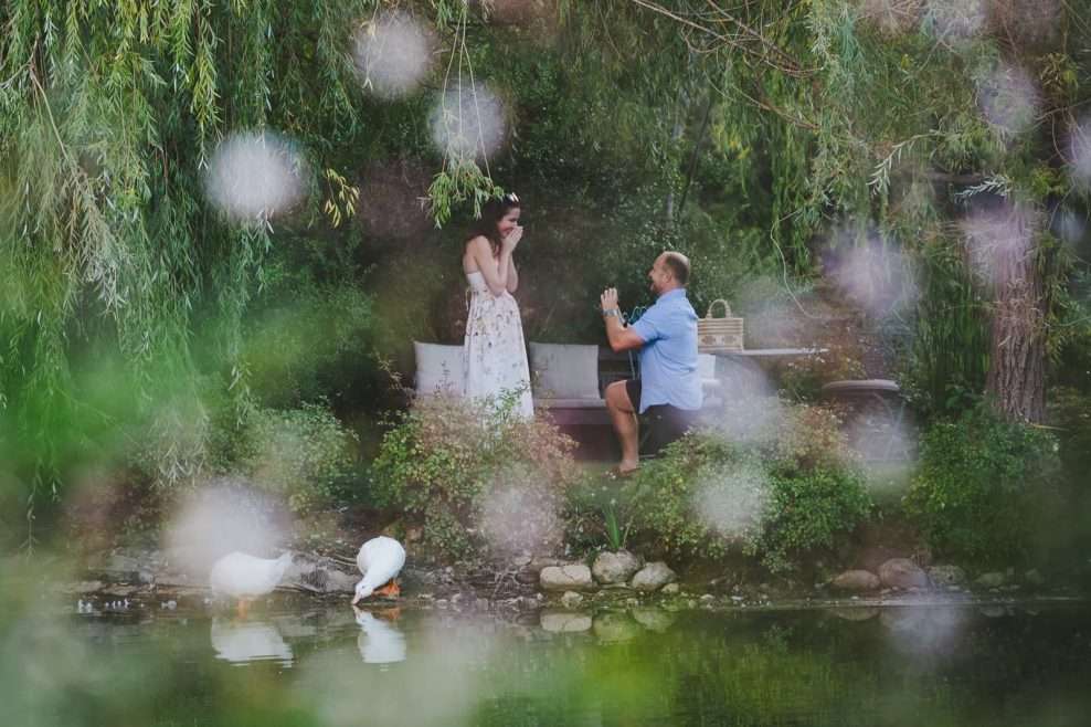 SECRET PROPOSAL